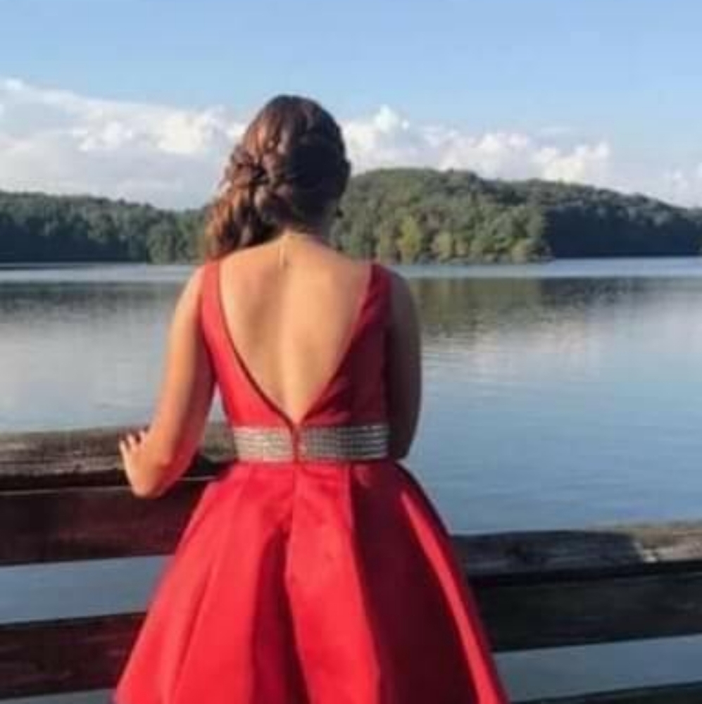 Red Dress - Picture 3 of 4